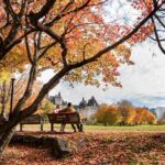 Best Fall Instagram Captions