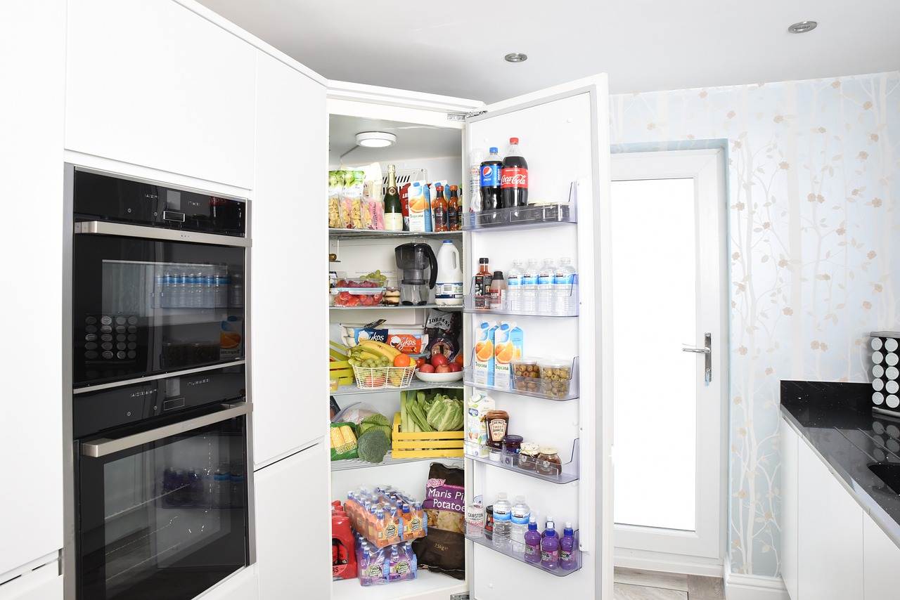 Best Refrigerator Slogans And Taglines