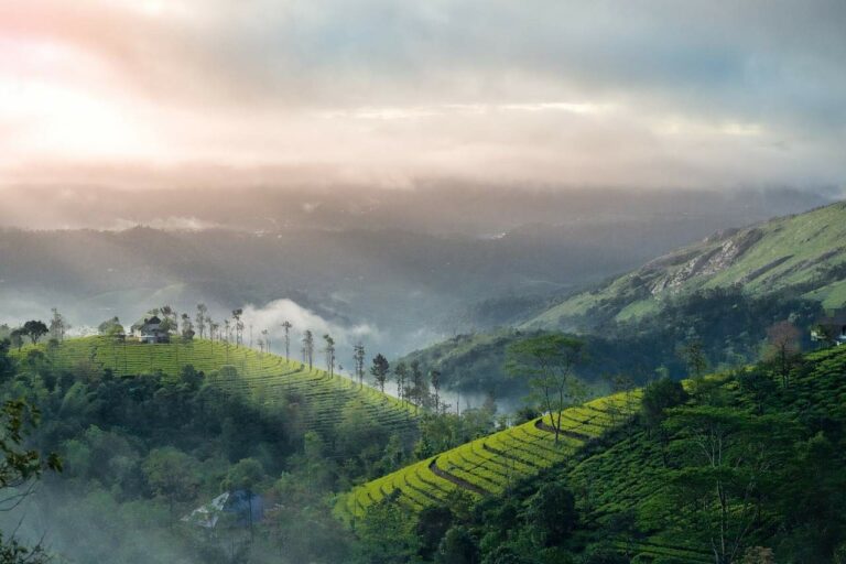 79+ Best Munnar Instagram Captions