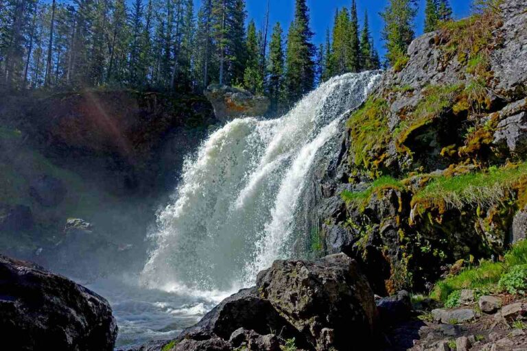 79+ Best Yellowstone National Park Instagram Captions