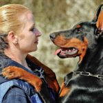 Best Doberman Dog Names Ideas For Male & Female