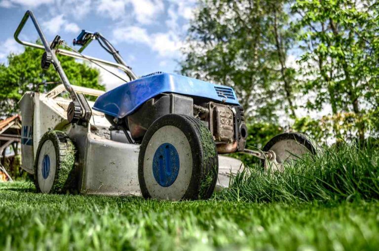 Best Lawn Care Slogans And Taglines