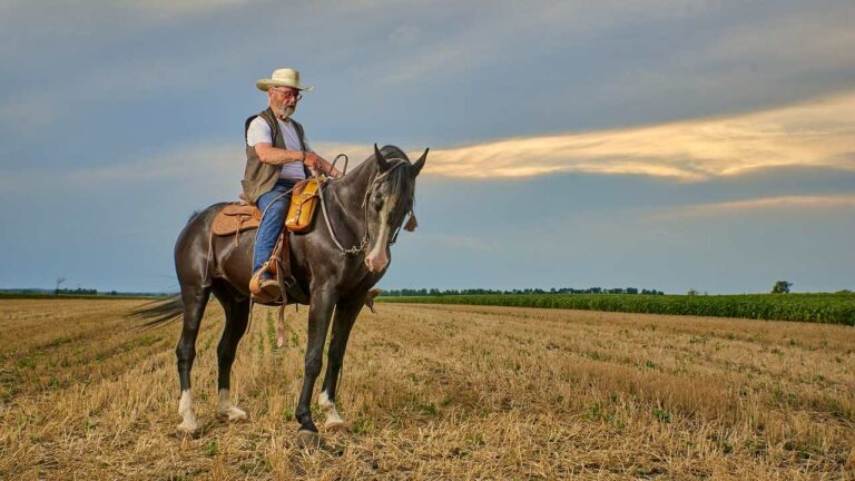 Best Cowboy Team Names