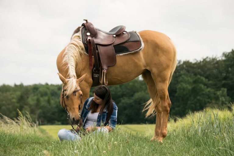 Best Palomino Horse Names Ideas For Male & Female