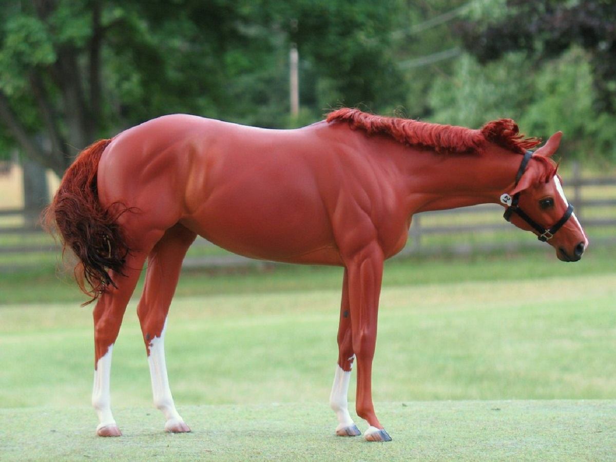 Best Red Chestnut Horse Names Ideas For Male & Female