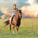 Best Western Horse Names Ideas For Male & Female